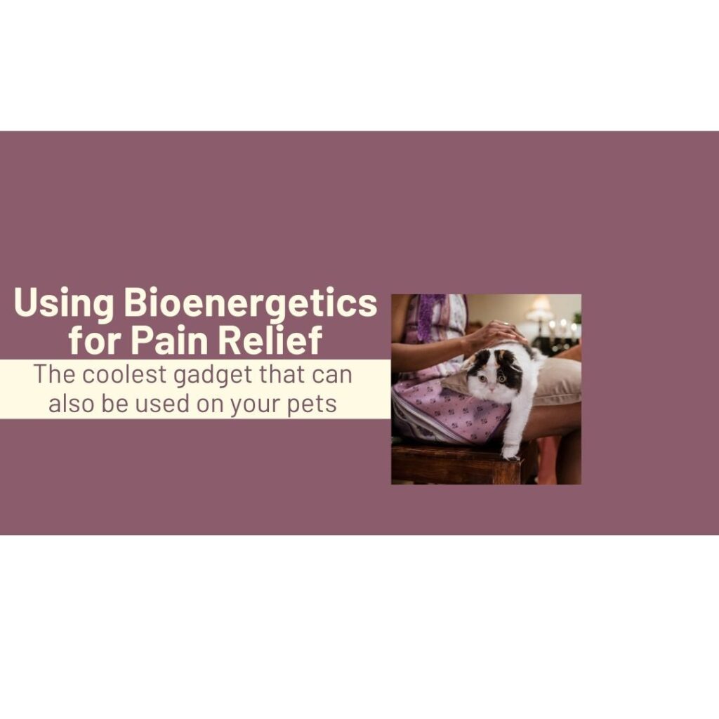 Using Bioenergetics for Pain Relief - The coolest gadget that can also be used on your pets