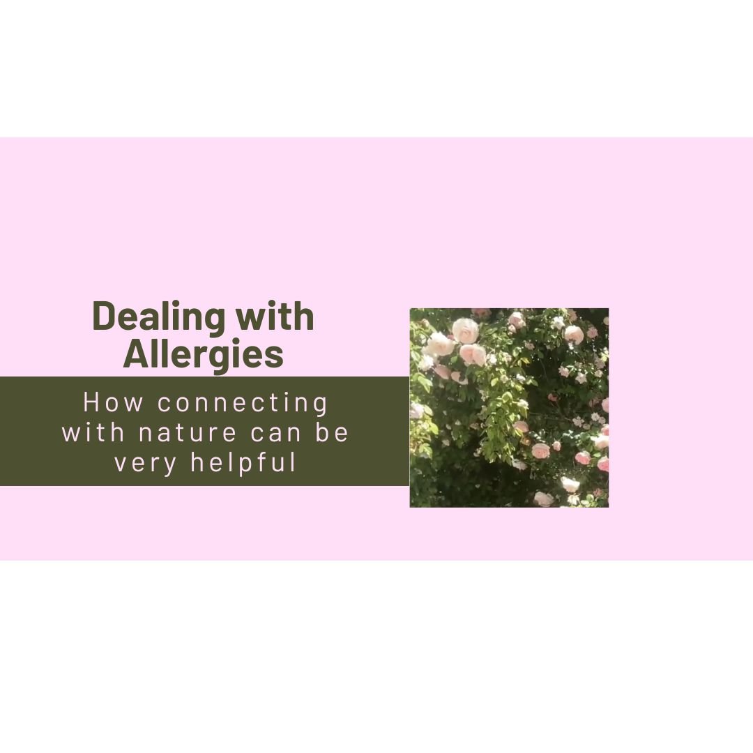 Dealing with Allergies - How connecting with nature can be very helpful