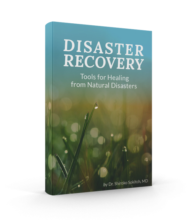 disaster-recovery-cover